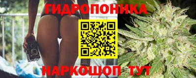 прущие крисы Шахты