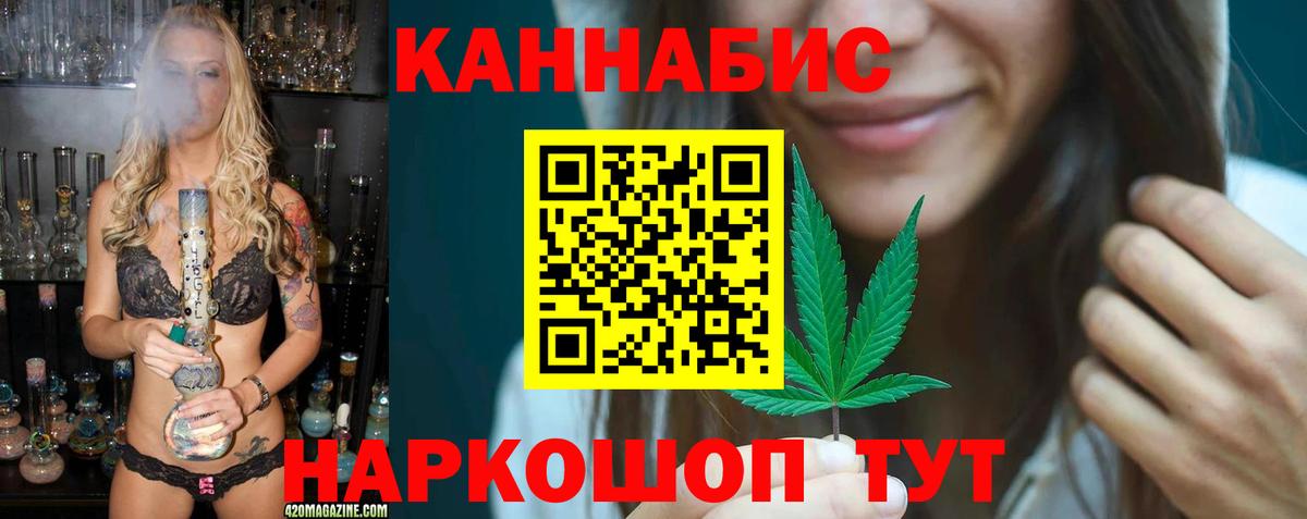 Бошки Шишки план Донской
